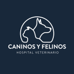 CANINOS Y FELINOS HOSPITAL UNIVERSITARIO