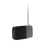 Radio Portable AM-FM 258